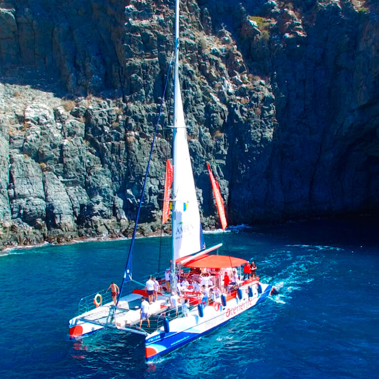 boat trip from tenerife to africa