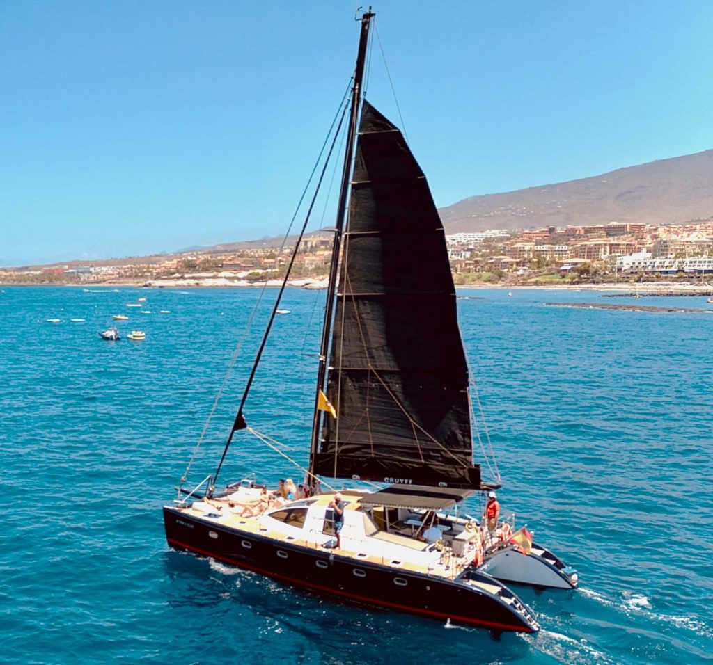 Catamarán Abrazo, avistamiento de ballenas Tenerife