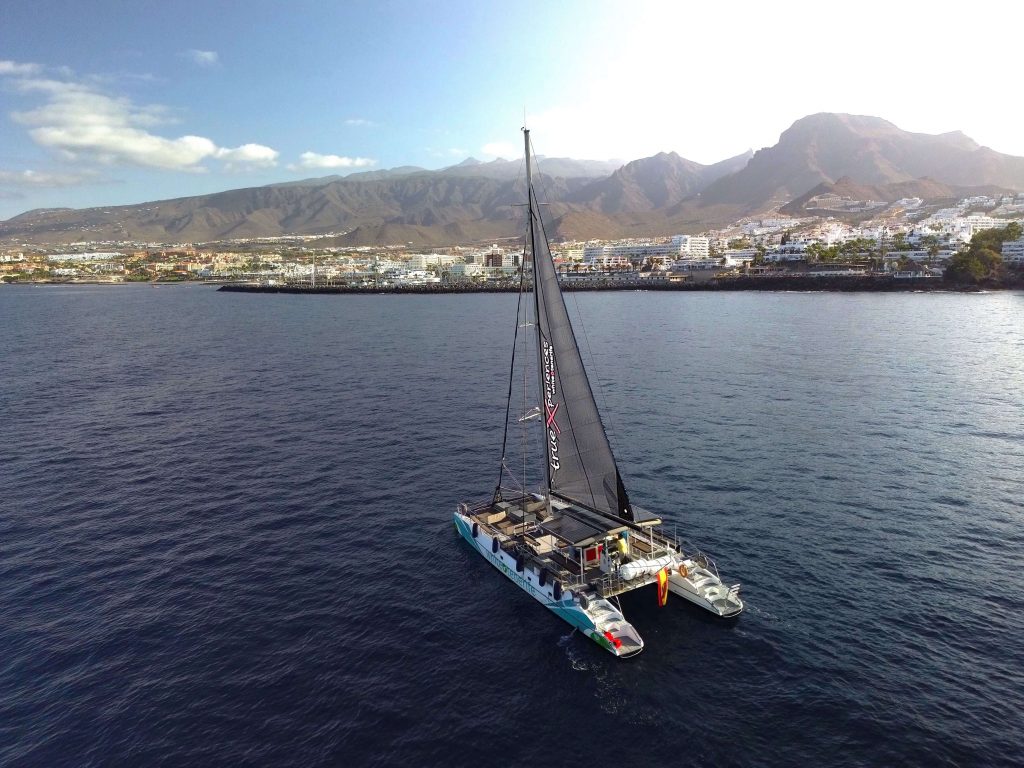 ParadiseEco catamaran avistamiento de ballenas Tenerife popa